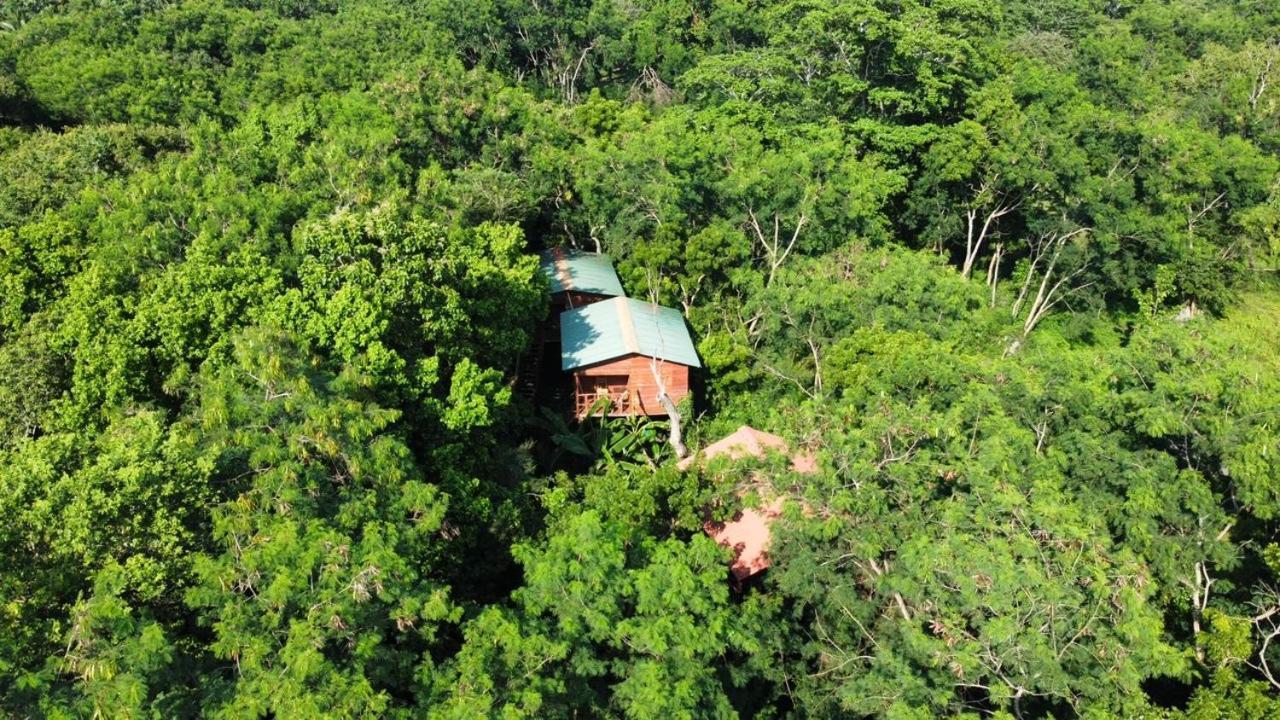 Tree House Hostel Sigiriya Exteriör bild