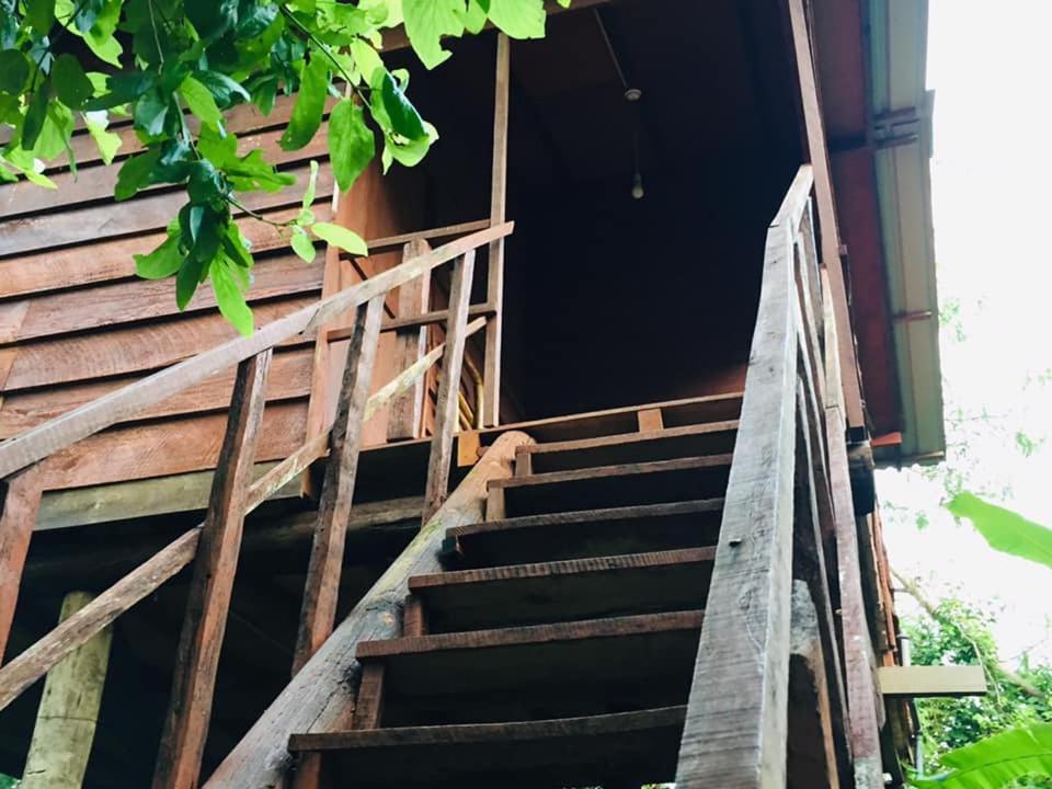 Tree House Hostel Sigiriya Exteriör bild