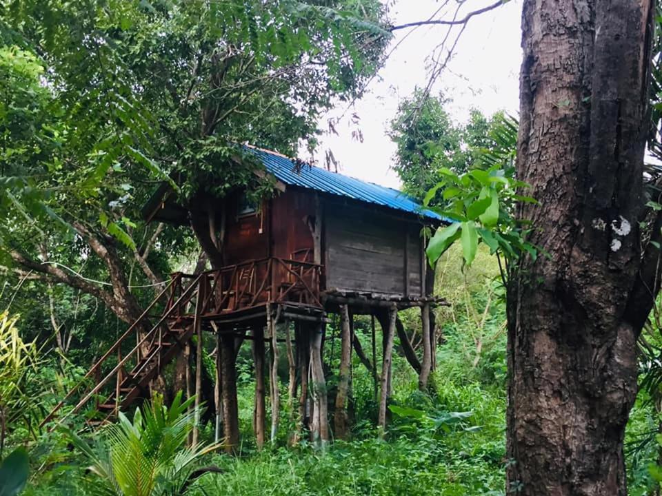 Tree House Hostel Sigiriya Exteriör bild