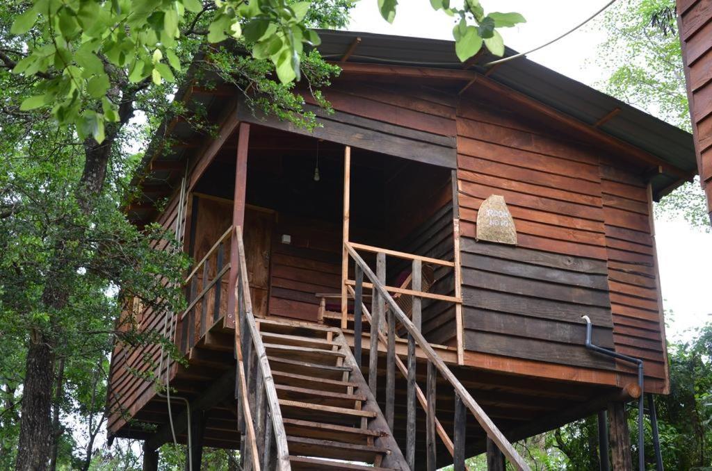 Tree House Hostel Sigiriya Exteriör bild
